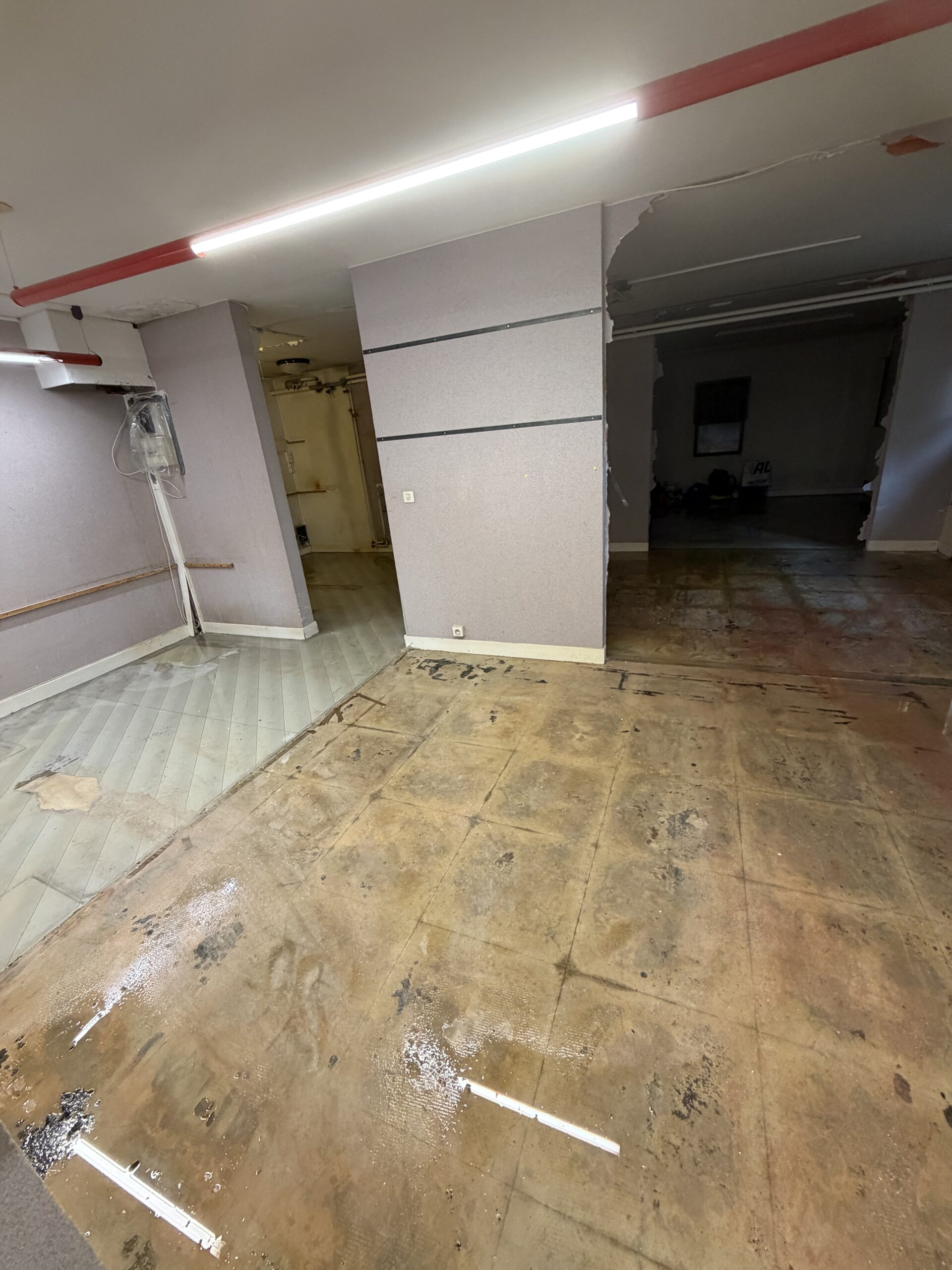Finitions salle musculation Ferney-Voltaire