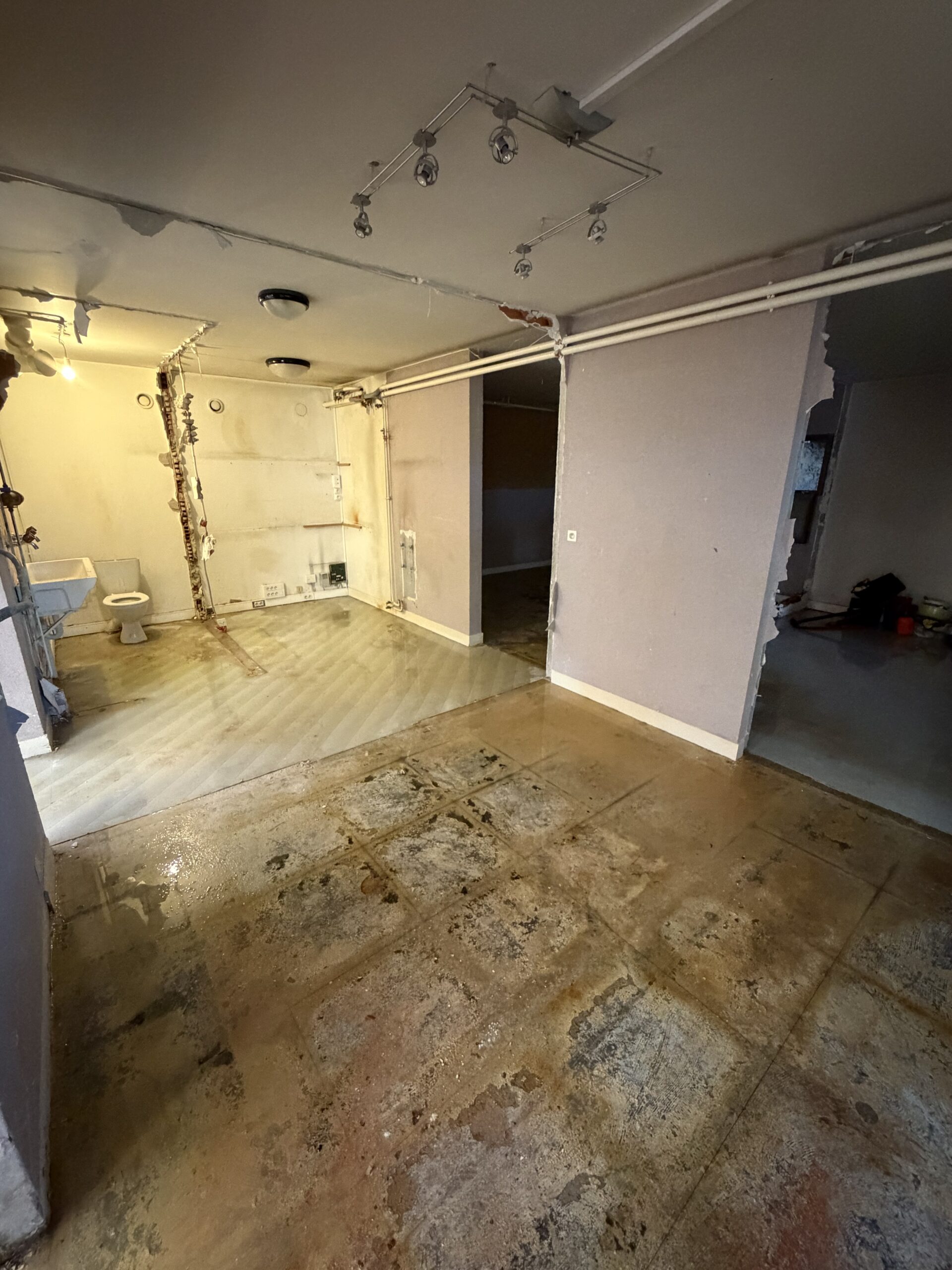 Rénovation intérieure salle sport Ferney-Voltaire